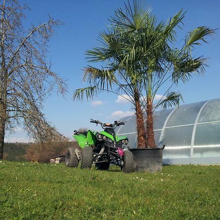 Ferienhaus Regina Walkertshofen Exteriér fotografie